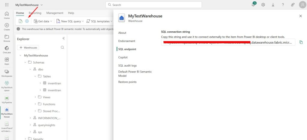 Microsoft Fabric SQL Endpoint